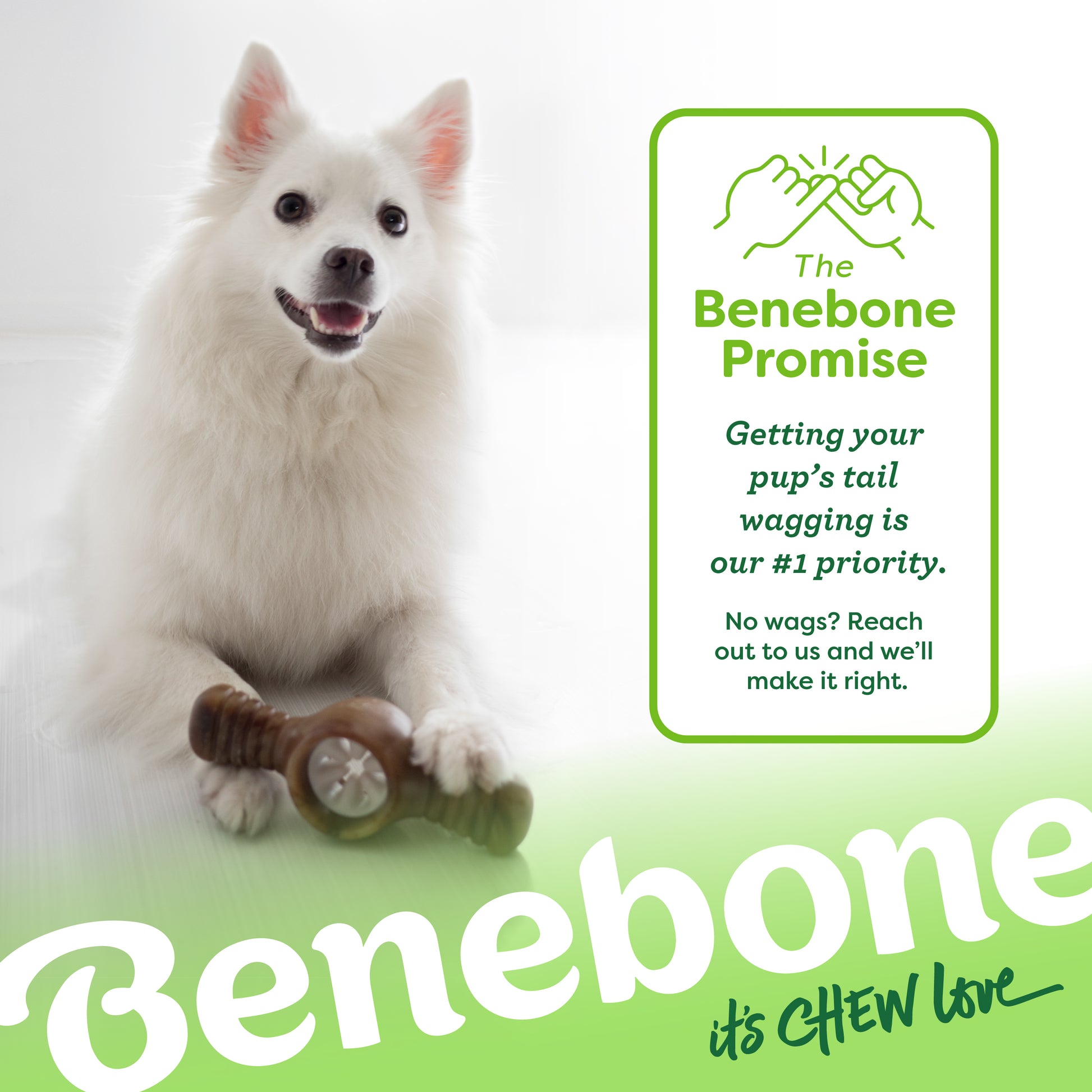 The Benebone promise. Getting your pup's tail wagging is our #1 priority. No wags? Reach out to us and we'll make it right.  Japanese Spitz looking up with Benebone pawplexer under its front paw. Benebone it's chew love.