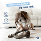 A brown and white dog chews on a Benebone Blueberry Ring in a bright living room. Text reads "Your dog's gonna dig these perks," with icons highlighting durability and long-lasting features from Benebone.