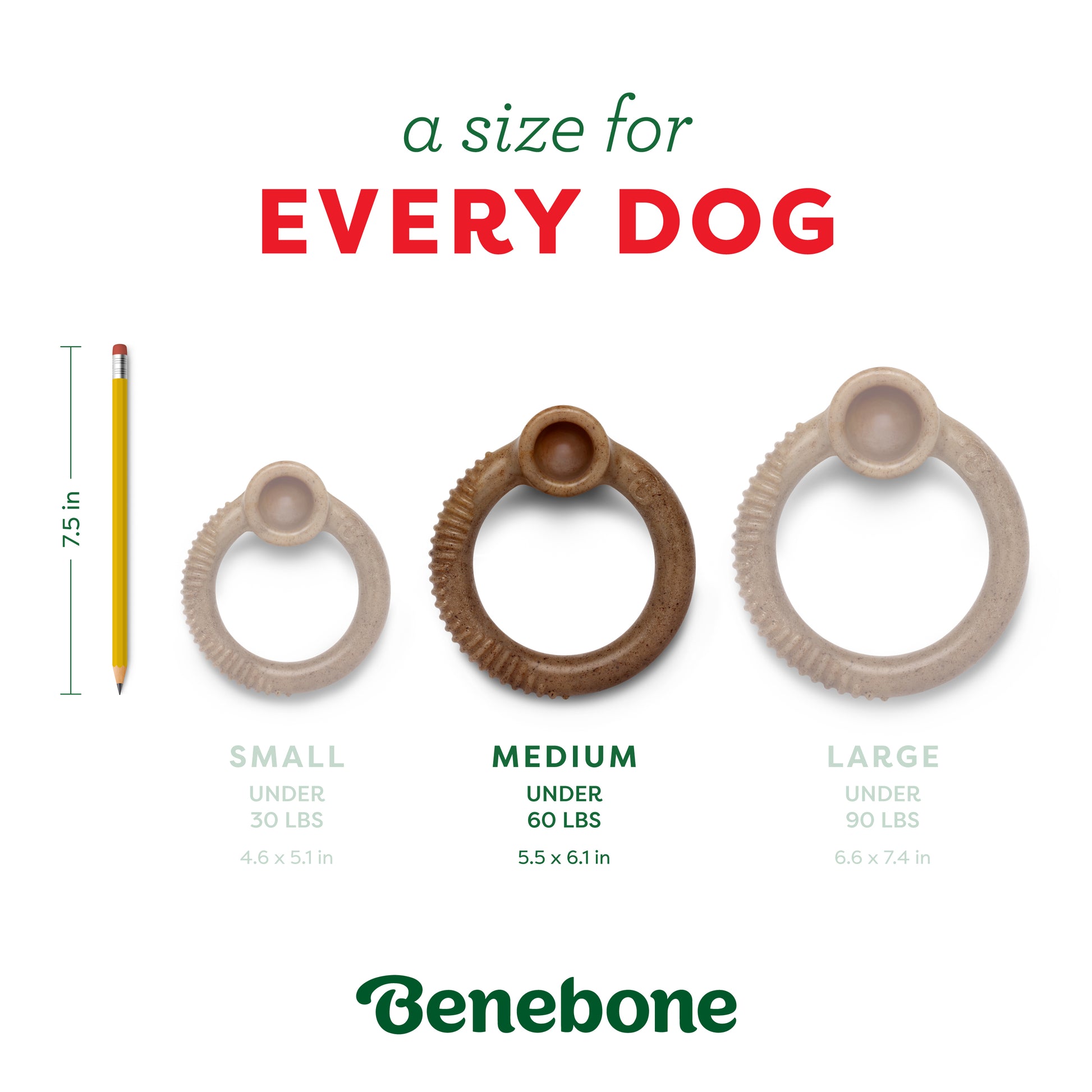 Three Benebone Peppermint Ring dog chews in small, medium, and large are shown beside a pencil for scale. Text reads a size for EVERY DOG. Each chews size and weight limit are listed. Benebone logo appears at the bottom.