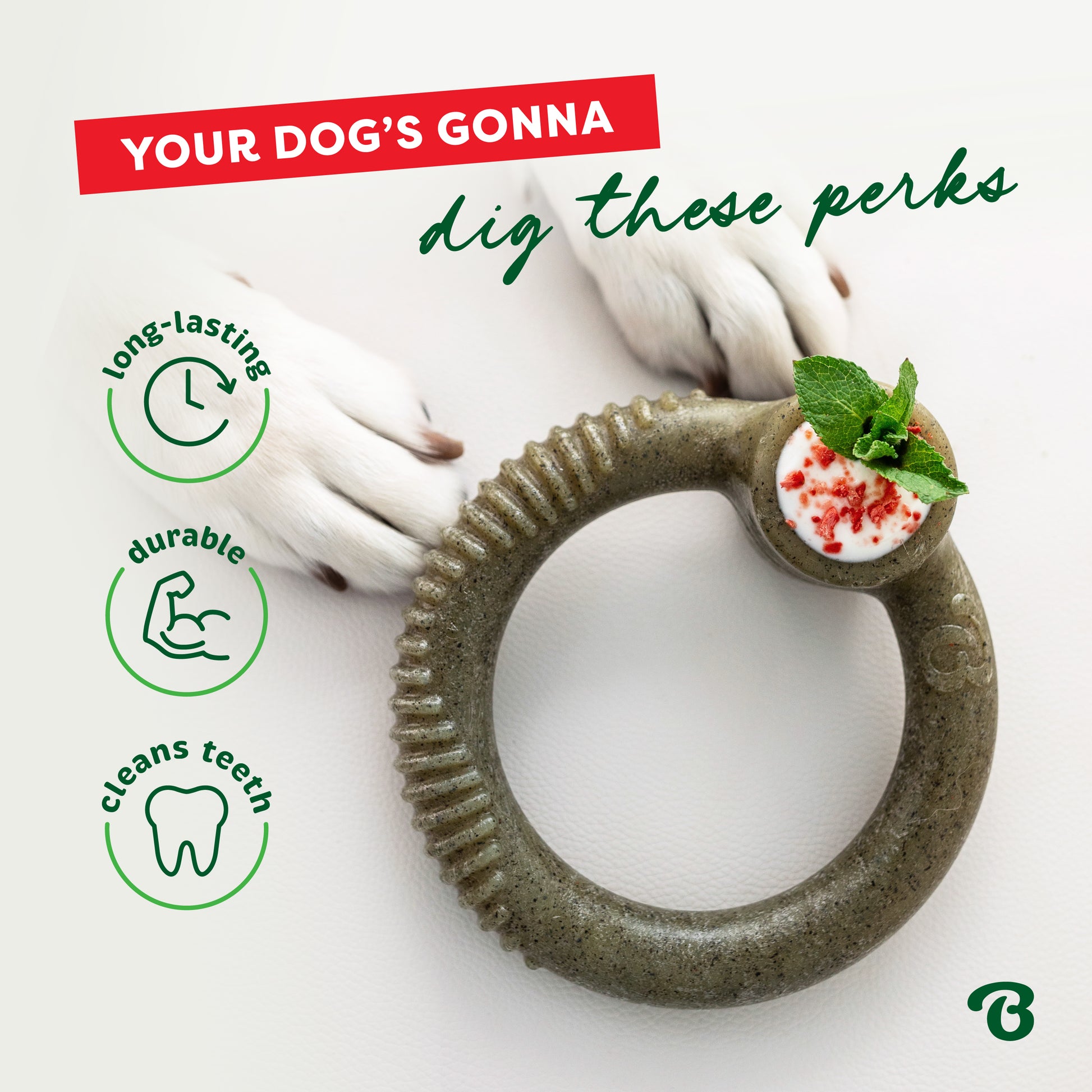A dog holds the Benebone Peppermint Ring with a treat and mint. Text: Your dog’s gonna dig these perks. Icons show: long-lasting, durable, cleans teeth.