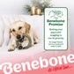 A yellow Labrador chews a Benebone Peppermint Ring on a white couch beside a sign: The Benebone Promise: Getting your pup’s tail wagging is our #1 priority. The Benebone logo appears at the bottom.