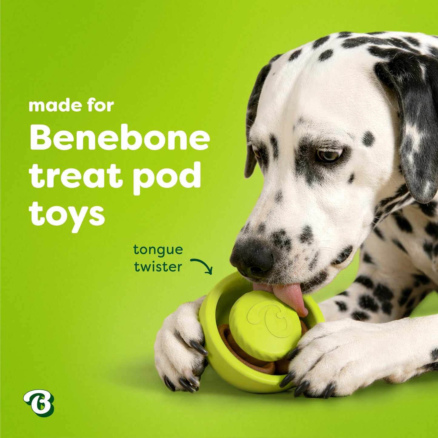 A Dalmatian licks a green Benebone Treat Pod for Tongue Twister on a vibrant green background. Text reads: “made for Benebone Treat Pod Refills” and “Tongue Twister,” with an arrow pointing to the toy to highlight the interactive dog toy’s playful challenge. Perfect for peanut butter treats, this fun scene shows just how irresistible treat time with Benebone can be!.