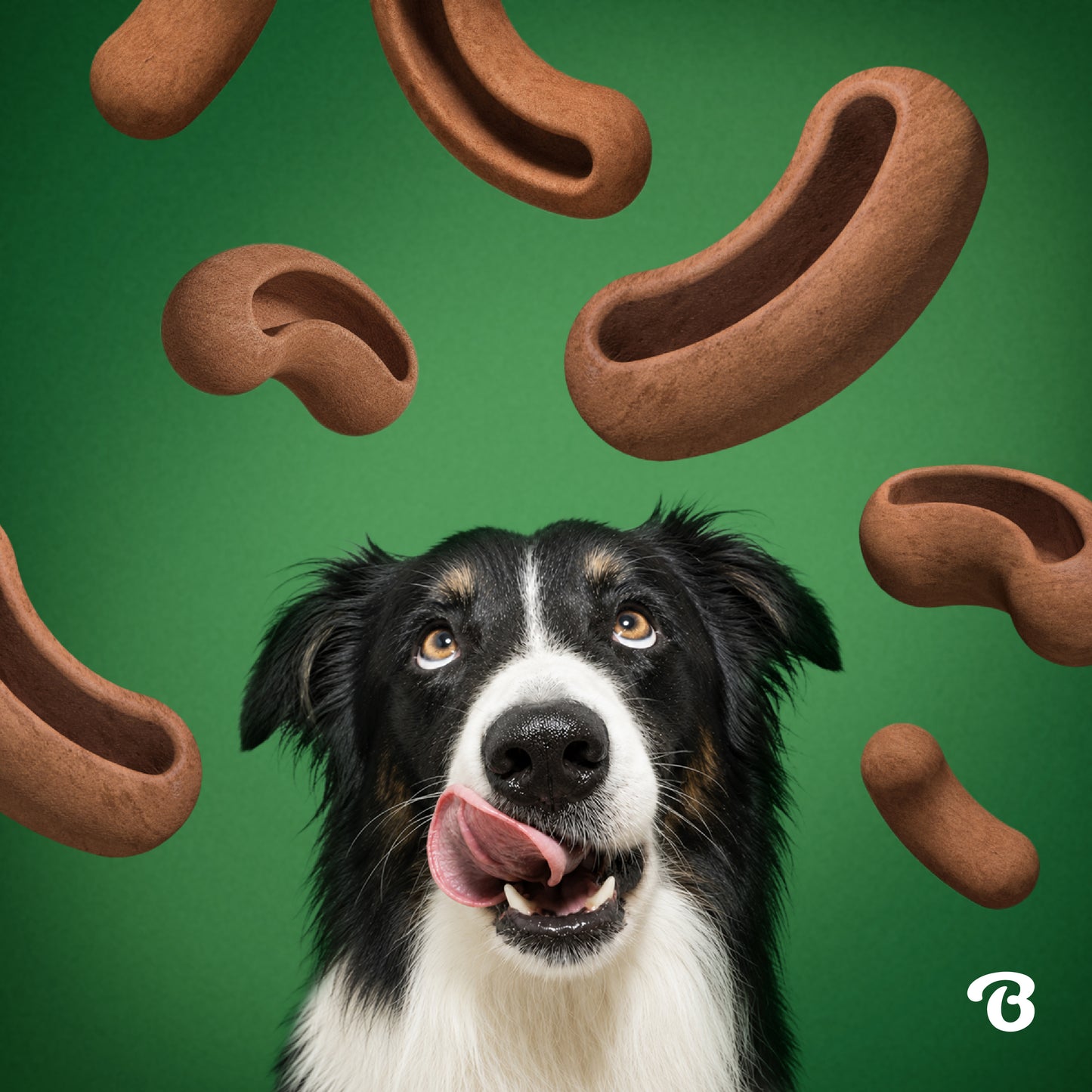 A black and white dog licks its lips as Benebone Treat Pod for Tongue Twister brown, curved peanut butter dog treats float around it on a green background.