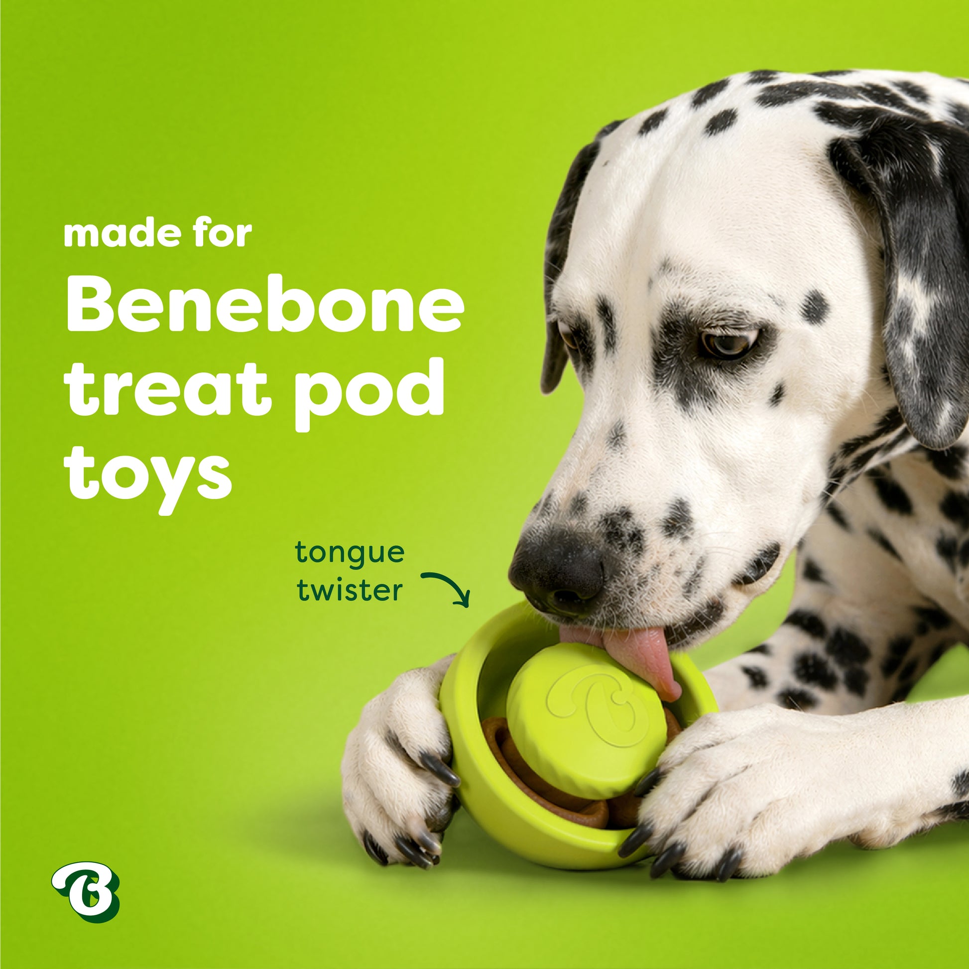 A Dalmatian licks a green Benebone Treat Pod for Tongue Twister toy on a bright green background, with text highlighting its compatibility with Benebone Treat Pod Refills and its playful “tongue twister” feature—perfect for pairing with interactive dog toys and your pup’s favorite treats.