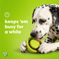A Dalmatian licks a green dog toy crafted from natural rubber on a bright green background. Text reads, keeps ’em busy for a while with a clock icon, highlighting the Benebone Tongue Twister puzzle toy. A small brand logo is in the bottom left corner.