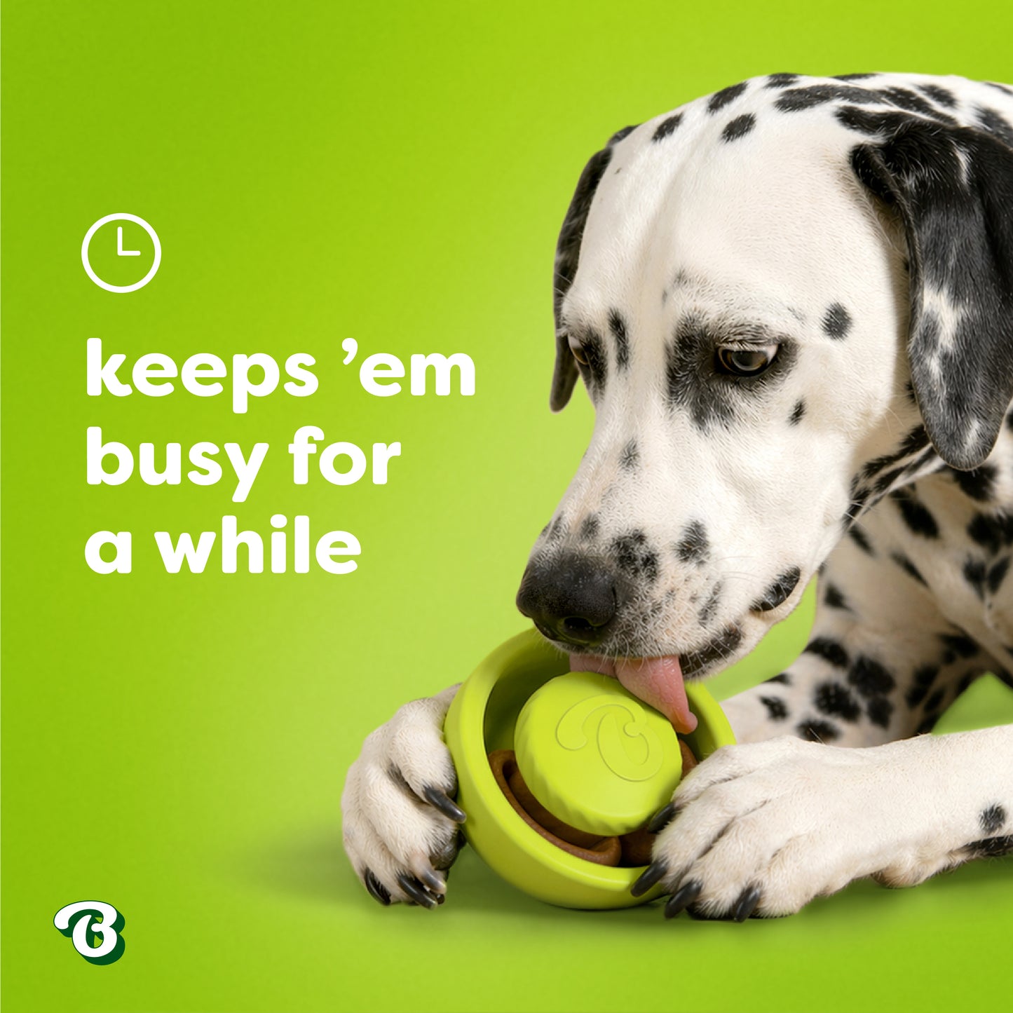 A Dalmatian licks a green dog toy crafted from natural rubber on a bright green background. Text reads, keeps ’em busy for a while with a clock icon, highlighting the Benebone Tongue Twister puzzle toy. A small brand logo is in the bottom left corner.