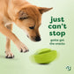A brown dog paws at a green Benebone Tongue Twister puzzle toy made of natural rubber on a light green background. Text reads: just cant stop gotta get the snacks.
