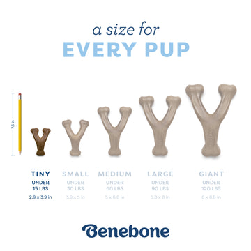 Benebone Wishbone Puppy