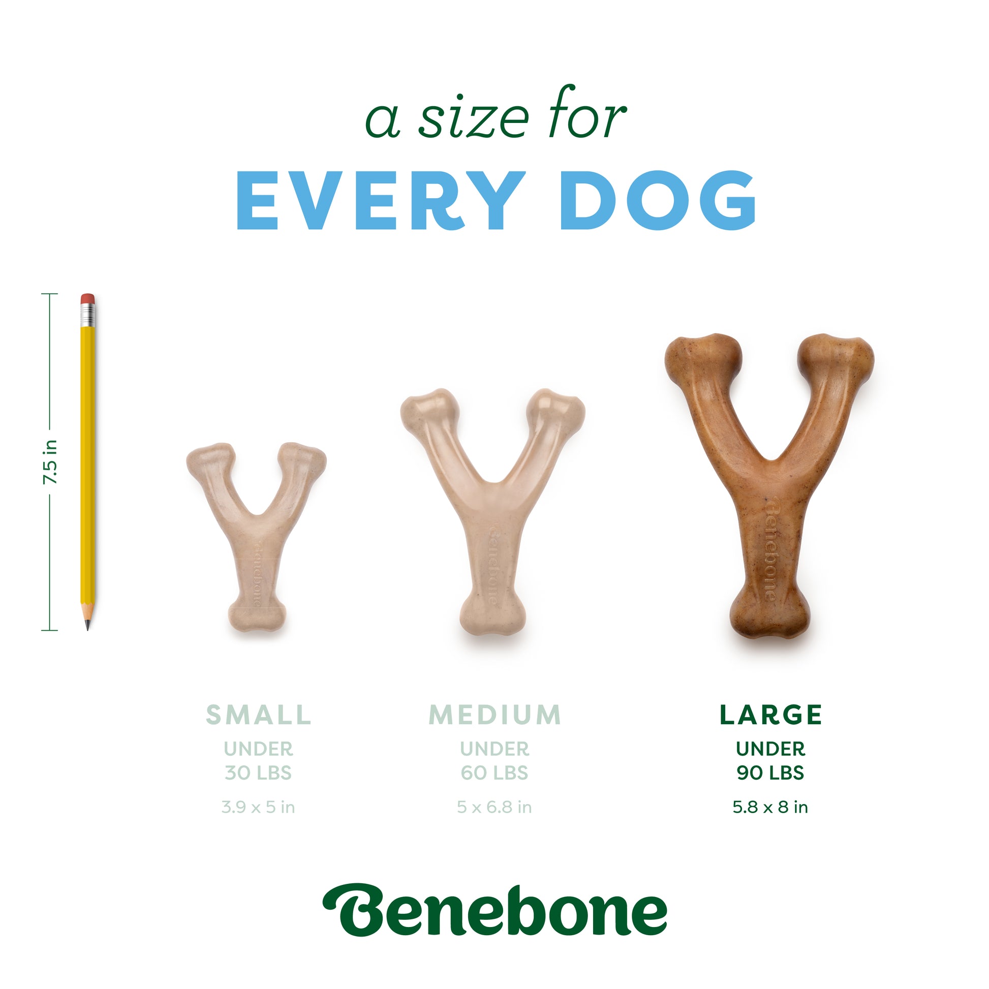 A Size for Every Dog: Large (under 90 lbs)