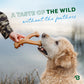 A Taste of the Wild Without the Feathers: A golden retriever looks up at his owner, who is wearing a camo shirt and holding the limited-edition Duck Wishbone.