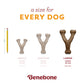 Three Benebone Pumpkin Spice Wishbone chews, including a limited edition, are shown in small (under 30 lbs), medium (under 60 lbs), and large (under 90 lbs) next to a pencil for scale—a size for every dog.