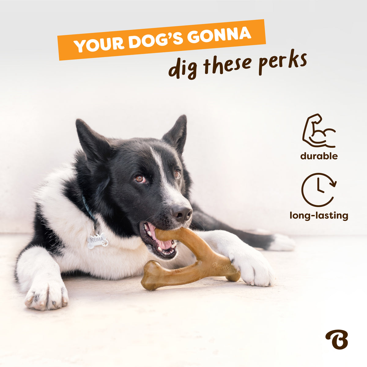 A black and white dog chews a Benebone Venison Wishbone dog toy. Text reads, “Your dog’s gonna dig these perks,” with icons highlighting durable and long-lasting features. A small brown Benebone logo appears in the bottom right corner.
