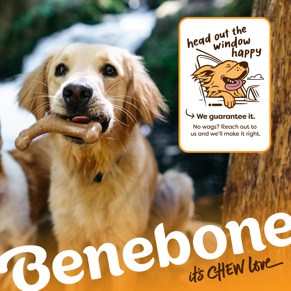 A golden retriever holds a Venison Wishbone dog toy in its mouth. An illustration shows a happy dog with the text: We guarantee it. No wags? Reach out to us and we’ll make it right. The word Benebone is at the bottom.