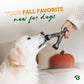 Your fall favorite, now for dogs! Golden retriever is seen licking a pumpkin spice-flavored Benebone, held by its owner's hand.