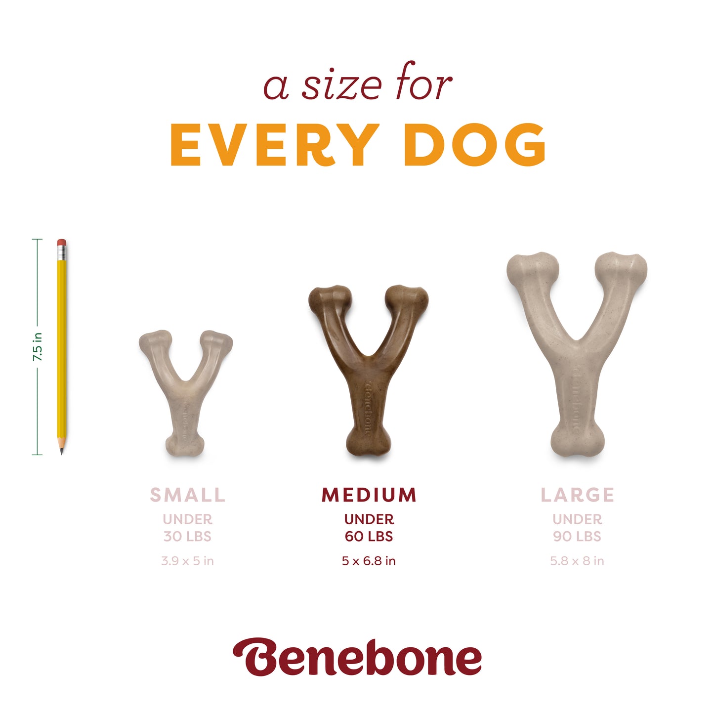 Three Benebone Pumpkin Spice Wishbone dog chews in small, medium, and large sizes are shown beside a yellow pencil for scale. Dimensions and weight limits for each size help you choose the right option for your dog.