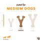 Three Benebone Venison Wishbone chews—in small, medium, and large sizes—are displayed next to a 7.5-inch pencil for scale, with a label reading “Sized for Medium Dogs.” Icons indicate these durable dog toys are ideal for dogs weighing 30–60 lbs.