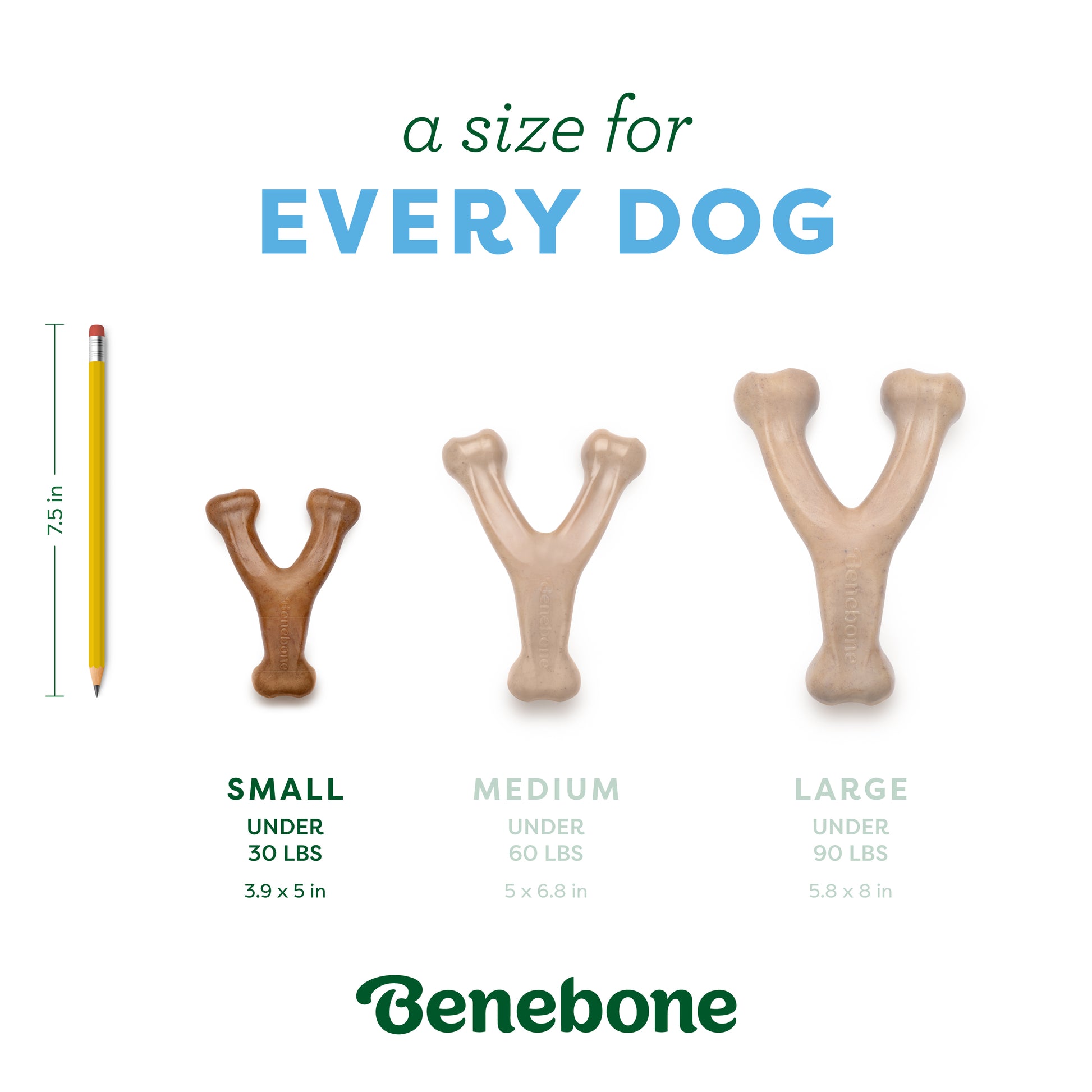 A Size for Every Dog: Small (under 30 lbs)