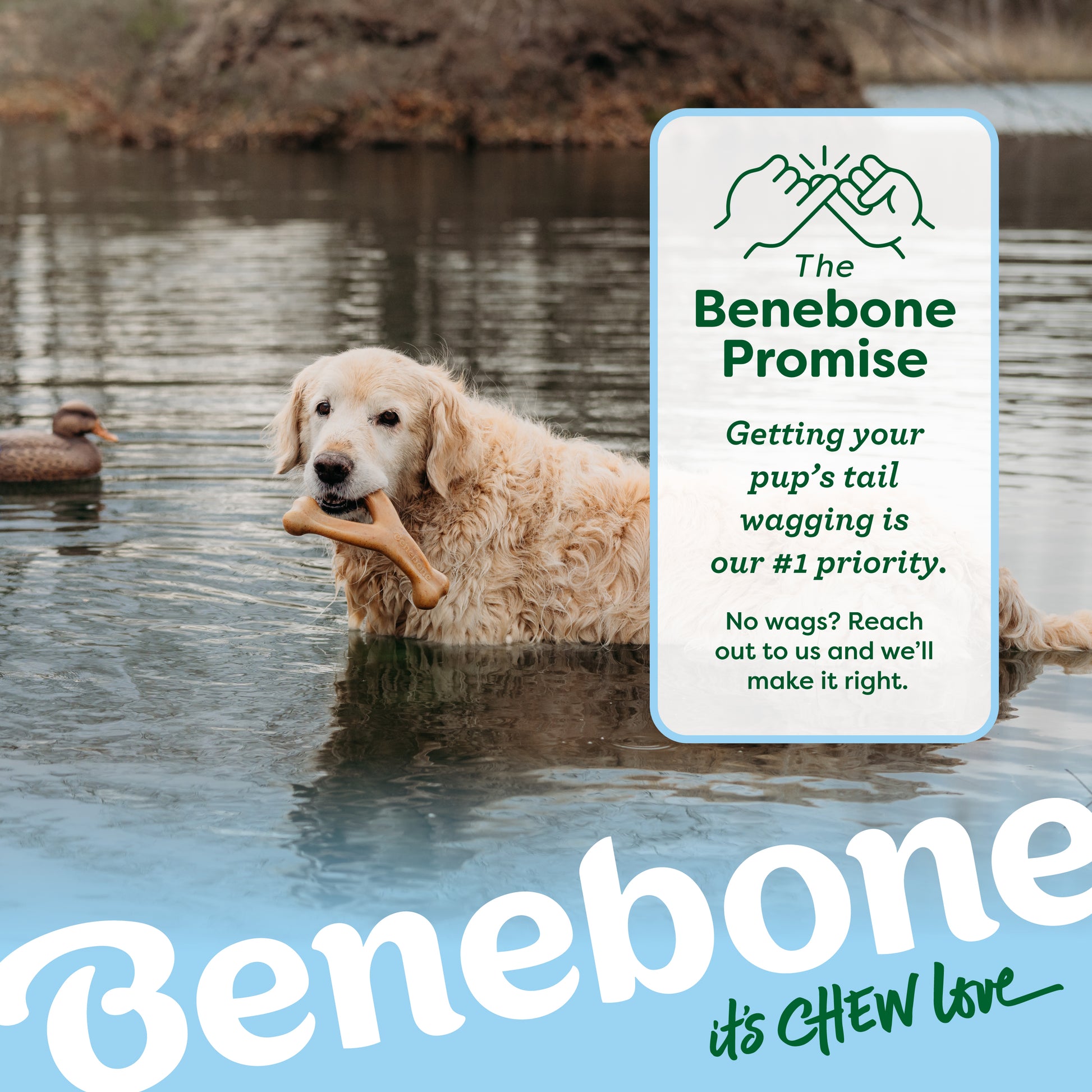 The Benebone Promise: Getting Your Pup's Tail Wagging is Our #1 Priority. No wags? Reach out to us and we'll make it right.