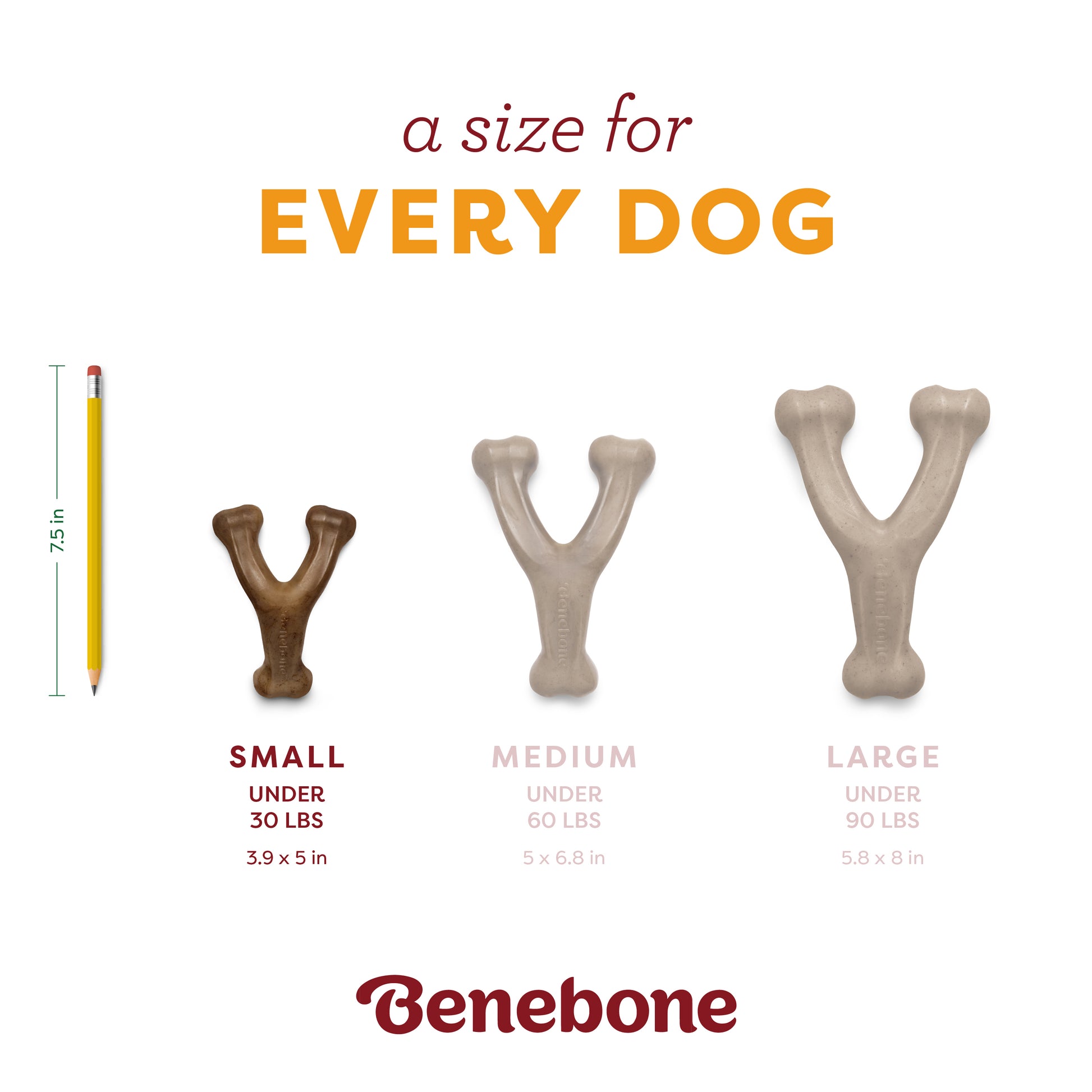 Comparison image of Benebone Pumpkin Spice Wishbone chew toys (small, medium, large) next to a 7.5-inch pencil for scale; sizes are labeled for dogs under 30 lbs, 60 lbs, and 90 lbs.