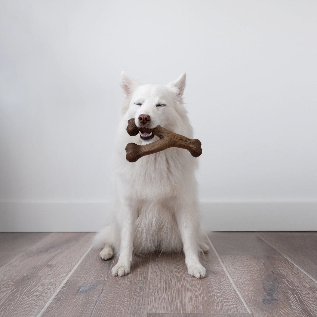 Medium Peanut Wishbone Benebone with dog
