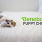 Benebone puppy video with music no talking. Video shows dogs interacting with Benebones. Video contains text that reads: Benebone puppy chews. Irresistible real flavors, bacon, maple wood. Real pieces of bacon. Durable yet forgiving. A size for every puppy. USA made and sourced. Fun & flavorful. Paw-friendly grip. Lasts for weeks. Stay playful Benebone logo.