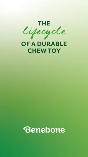 The Lifecycle of a Durable Chew Toy