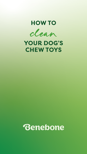 How to Clean Your Dog's Chew Toys