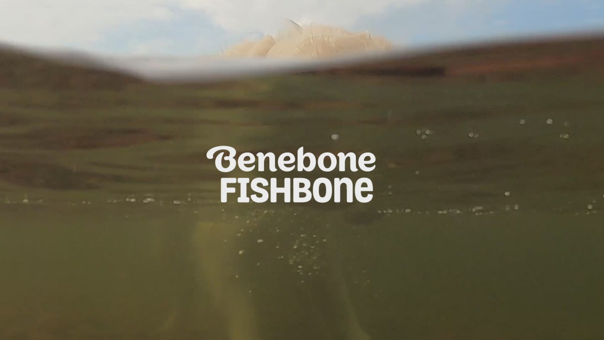 Fishbone Benebone video with music only