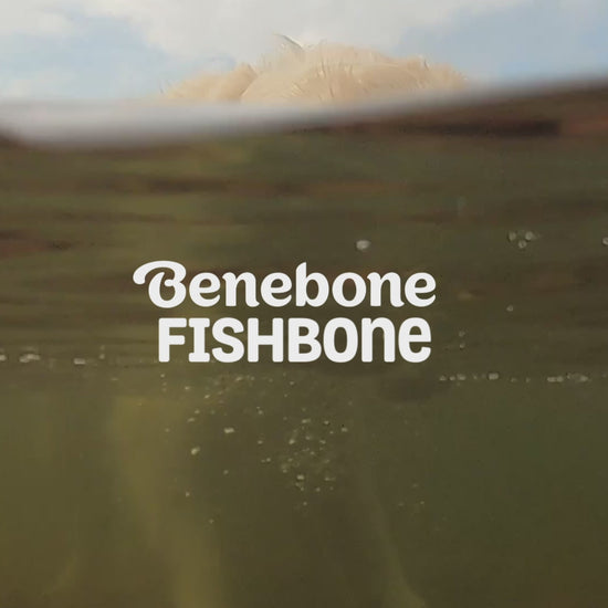 Fishbone Benebone video with music only