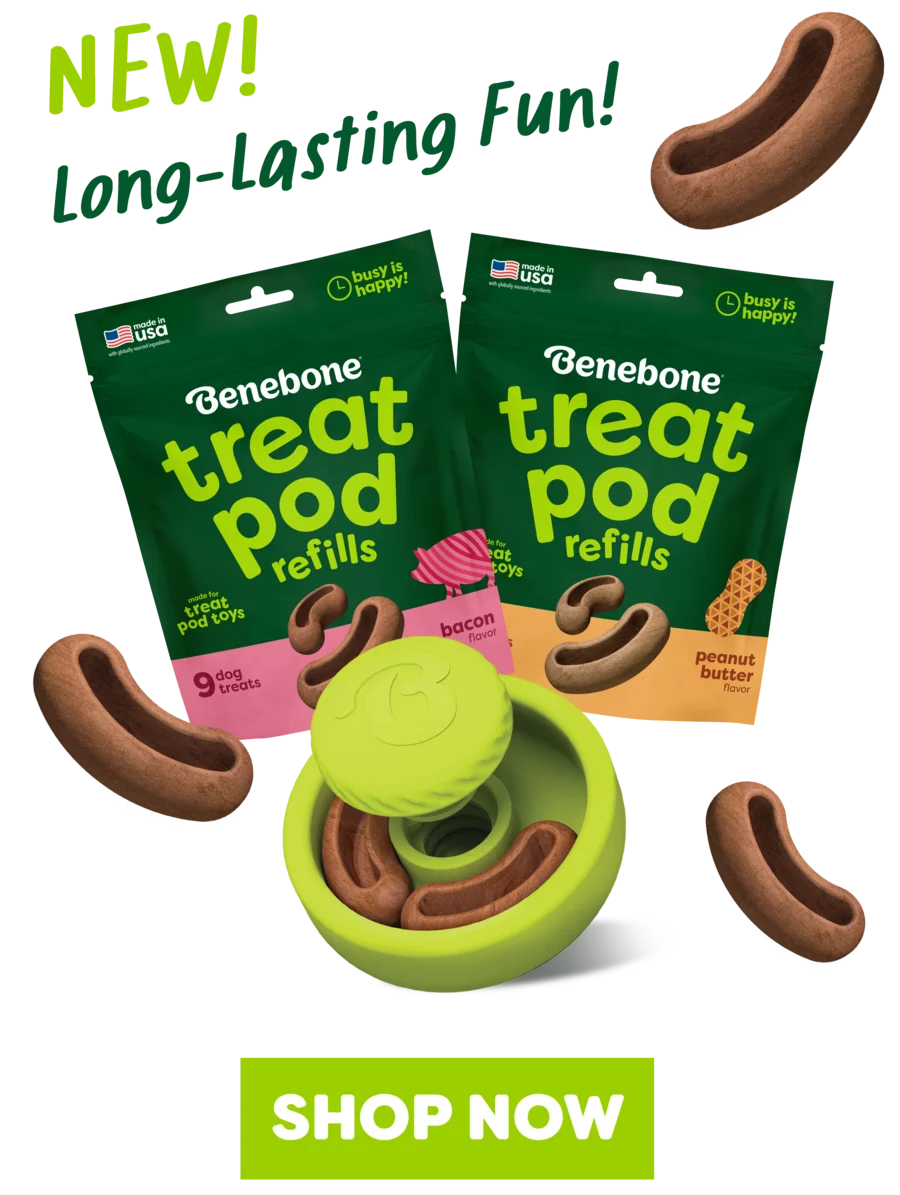 New! Treat Pod refills — long-lasting fun